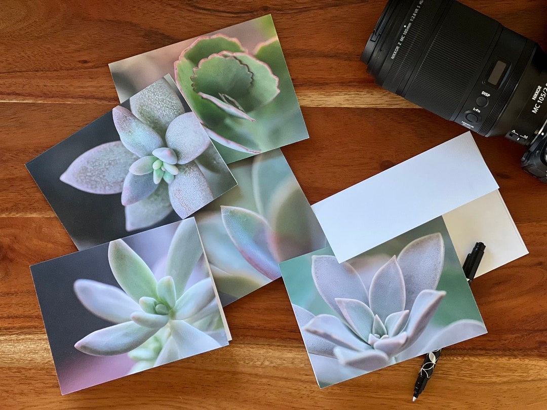 Succulent 10 Pack of Blank Note Cards Recycled Paper Macro Etsy