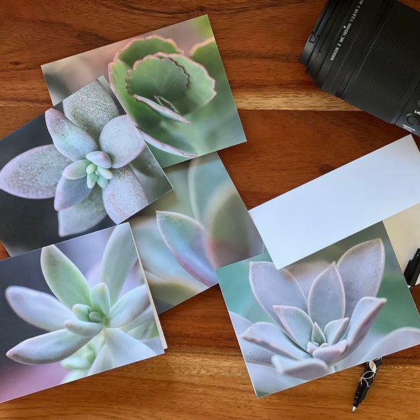 Succulent 10 Pack of Blank Note Cards, Recycled Paper, Macro Photography