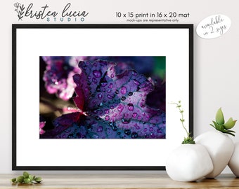 Heuchera Leaf Photograph | Matted Fine Art Print, Macro Photography, Ready To Frame