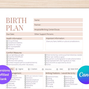 Printable Birth Plan Template | Editable Birth Preference Blank Template | Birth Plan Canva