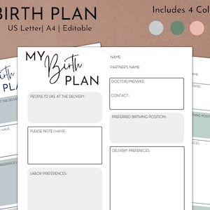 Printable Birth Plan Template | Editable Birth Preference Blank Template | Birth Plan Canva
