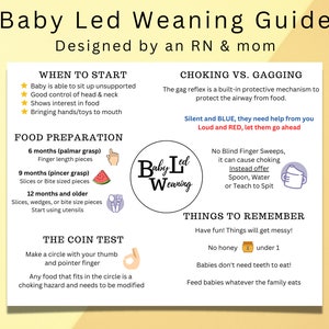 Baby Led Weaning 101 Reference Guide | Printable BLW 101 Information Sheet | Baby Led Weaning Checklist