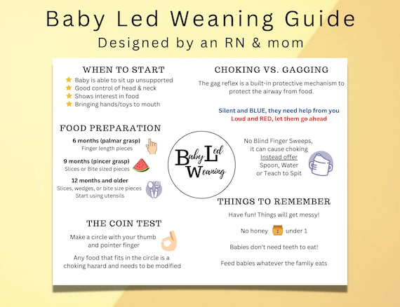 Baby-Led Weaning guide to spoons