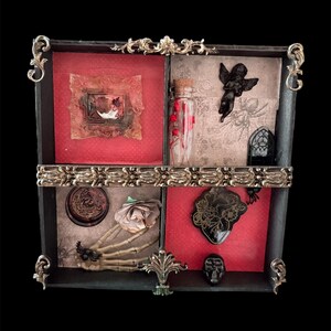 Curiosity/Oddity Display