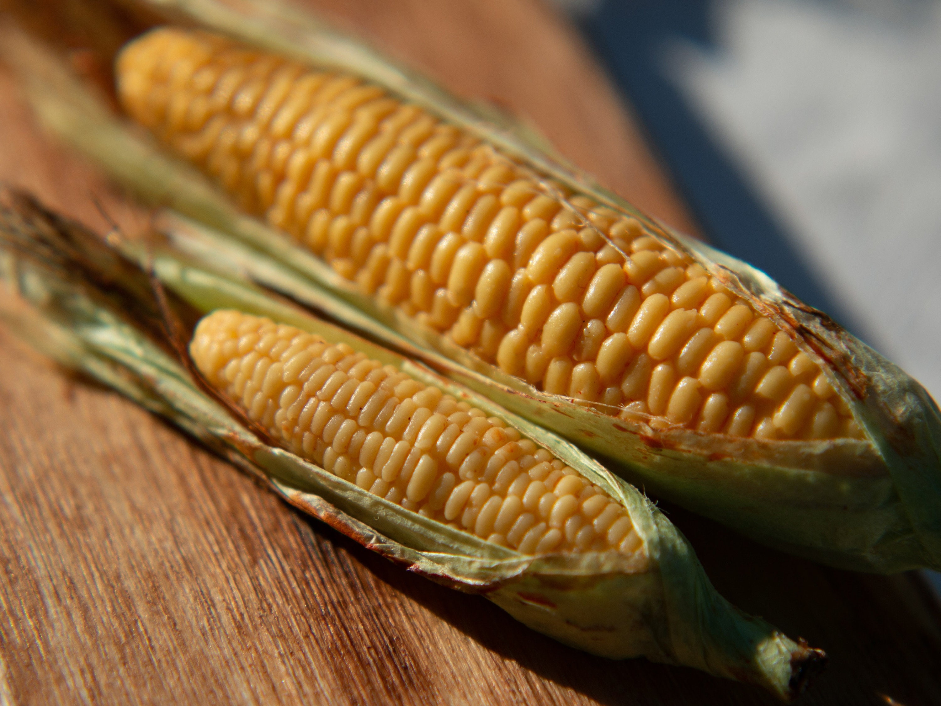 Miniature Corn 1/6 Scale, 1/12 Scale, Mini Vegetables for a Dollhouse ...