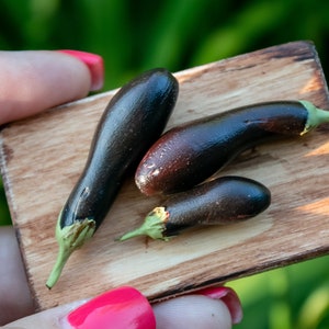 Realistisches Gemüse für Puppenstube, Miniaturgemüse, Aubergine, Essen für Puppen, Miniaturen im Maßstab 1:6, Puppenhausküche, Minigemüse