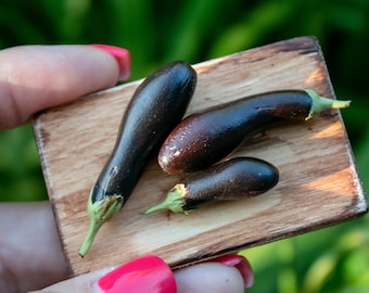 Realistisches Gemüse für Puppenstube, Miniaturgemüse, Aubergine, Essen für Puppen, Miniaturen im Maßstab 1:6, Puppenhausküche, Minigemüse