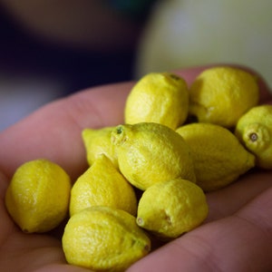 Miniature lemons 1/6  scale, Mini fruits for a dollhouse, Realistic fruits from polymer clay