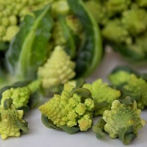 Miniature cabbage, cauliflower 1/6  scale, 1/12 scale, Mini vegetables for a dollhouse, cabbage Romanesco
