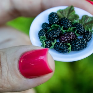 Miniatur Brombeere, Beeren für Puppenhaus, 1:6 Brombeere