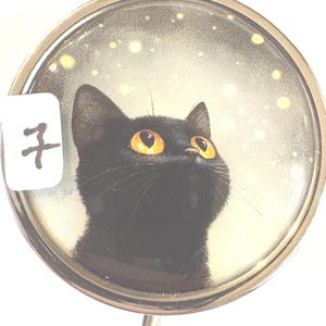 May include: A round, silver-toned pill box featuring a black cat with bright yellow eyes looking upwards. The background has a starry effect. A white label with the number 7 is on the left side of the box.