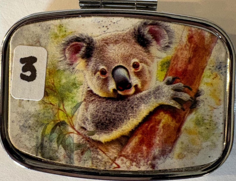 Puede incluir: Un pastillero rectangular plateado con tapa abisagrada. La tapa presenta una imagen estilo acuarela de un koala aferrado a una rama de &aacute;rbol. Una peque&ntilde;a pegatina blanca con el n&uacute;mero "3" est&aacute; adherida a la caja.