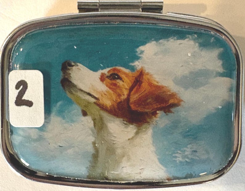 Puede incluir: Un pastillero peque&ntilde;o, rectangular, plateado con tapa abisagrada. La caja presenta una imagen pintada de un perro mirando hacia un cielo azul con nubes blancas. Una pegatina blanca con el n&uacute;mero "2" est&aacute; en el lado izquierdo.