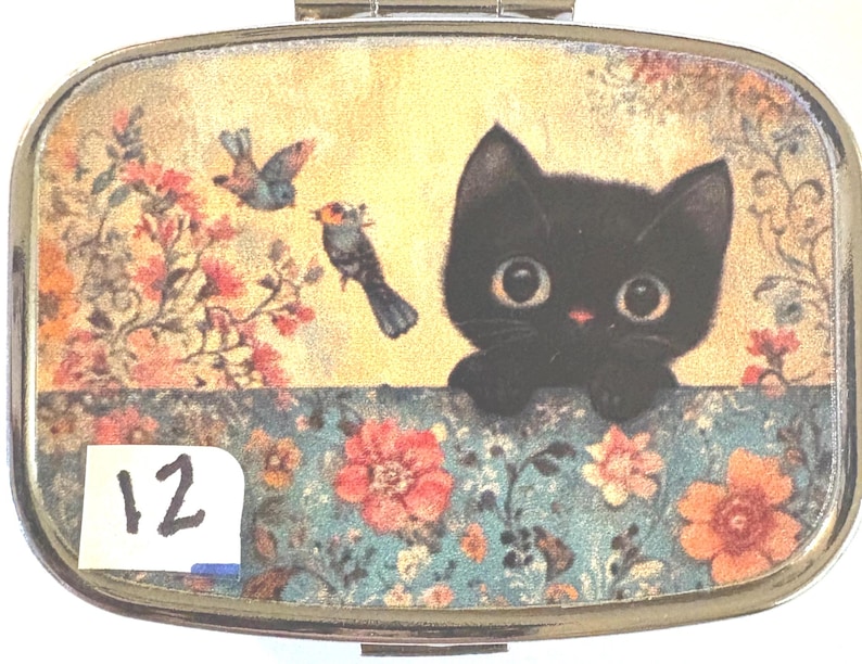 May include: A metal pill box with a whimsical design. The lid features a black cat with large eyes, perched above a floral border. Two birds fly near a floral arrangement. The number "12" is on a white sticker in the corner.