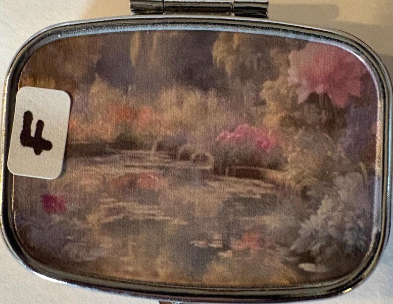 Puede incluir: Un peque&ntilde;o pastillero rectangular con un marco de metal plateado. La tapa presenta una pintura al estilo acuarela de un estanque con flores rosas y follaje verde. Una peque&ntilde;a etiqueta blanca con la letra "F" est&aacute; adjunta.