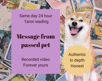 SAME DAY passed pet tarot reading video, psychic medium, same day tarot, psychic reading, deceased pet reading, animal reading