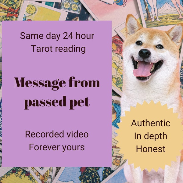 SAME DAY passed pet tarot reading video, psychic medium, same day tarot, psychic reading, deceased pet reading, animal reading