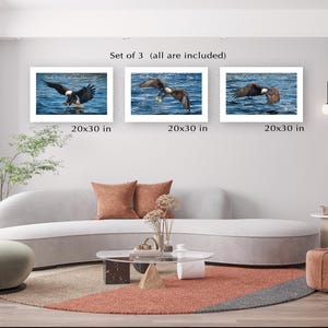 Bald Eagle Photography Prints: Set of 3, Mississippi River Wildlife Art