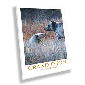 Intimes Grizzly Mama und Cub Porträt, Grand Teton National Park, Western Wall Art, erhältlich auf Papier oder Leinwand, ideal für Kabine, Büro, Zuhause