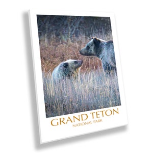 Intimes Grizzly Mama und Cub Porträt, Grand Teton National Park, Western Wall Art, erhältlich auf Papier oder Leinwand, ideal für Kabine, Büro, Zuhause