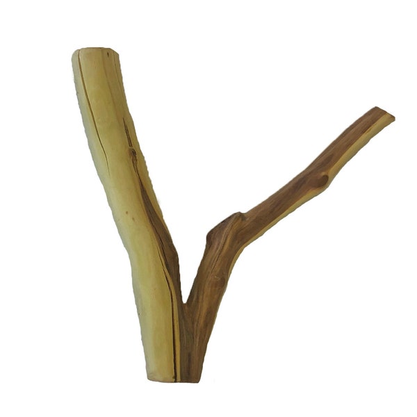 Branche de bois de manzanita bicolore 14", bois flotté d'aquarium, décoration de terrarium, bois d'aquascape, décoration de réservoir