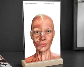 Consultation Dry Erase Board, Facial Anatomy Acrylic Board for Note Taking/Charting, Esthetician Nurse Doctor Tool, Training Visual Aid