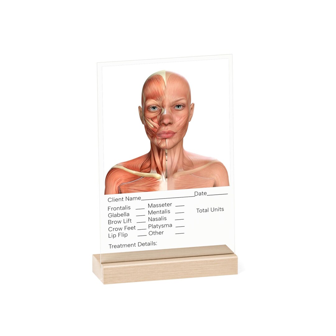 Anatomical Acrylic Sign With Stand | Client Chart Display for Aesthetic ...