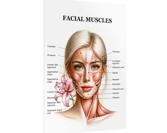 Female Facial Anatomy Muscles Rolled Poster, MedSpa Nurse Injector Poster, Neurotoxin Botox Poster - with Title