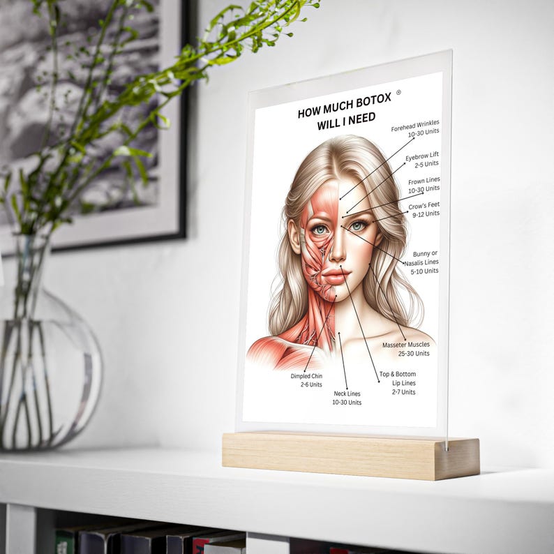 Botox Application Areas and Amount Acrylic Dry Erase Board, Cosmetic ...
