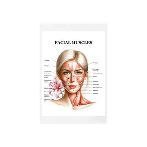 Female Facial Muscles Acrylic Dry Erase Board for Note Taking/Charting, Cosmetic Nurse Doctor Injector Tool, Training Visual Aid