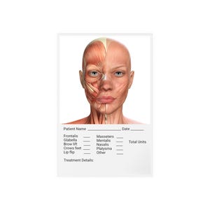 Lavagna acrilica cancellabile a secco per anatomia facciale, per prendere appunti/registrare grafici, muscoli facciali, strumento per iniezioni per medici e infermieri di estetica, supporto visivo per la formazione.