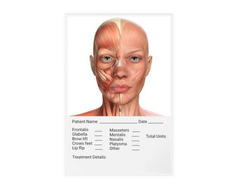 Facial Anatomy Acrylic Dry Erase Board for Note Taking/Charting, Facial Muscles, Cosmetic Nurse Doctor Injector Tool, Training Visual Aid