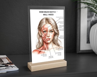 Botox-toepassingsgebieden en hoeveelheid acryl droog uitwisbaar bord, cosmetisch verpleegkundig arts-injectorinstrument, visueel hulpmiddel voor training