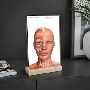 May include: A clear acrylic stand with a wooden base, displaying a medical illustration of the facial muscles. The stand has the text "Treatment details:" and "Additional notes:" at the top.