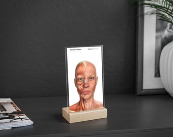 CUSTOM Facial Anatomy Acrylic Dry Erase Board for Note Taking/Charting, Facial Muscles Cosmetic Nurse Doctor Injector Tool, Training Visual
