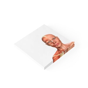 May include: A white square notepad with a detailed anatomical illustration of a human head and neck, showcasing muscles and underlying structures. The illustration is in shades of red, brown, and beige.