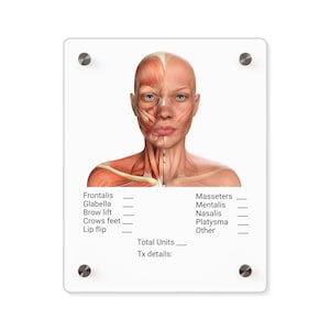 Customized Facial Anatomy Acrylic Dry Erase Board for Note Taking/Charting, Facial Muscles, Cosmetic Nurse Doctor Injector Tool, Visual Aid