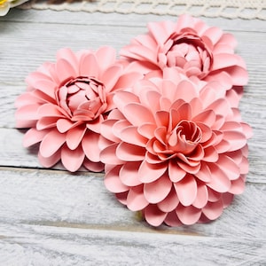 Gerbera 921 y 922 - Flor de papel margarita PNG