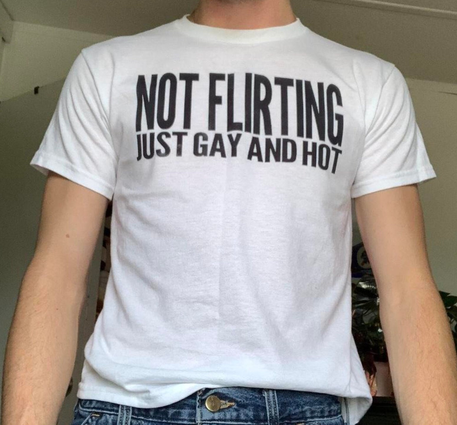 Not Flirting Just Gay and Hot Shirt, Y2K LGBTQ Tee, Funny Y2K Shirt, Shirts That Go Hard, Gen Z Meme, 2000s Y2K Shirt, Paris Hilton Tee