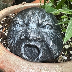 May include: A black and white stone sculpture of a face with a wide open mouth, resembling a gargoyle. The sculpture is placed in a terracotta pot with green plants.