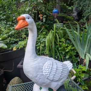 Porch Goose Garden Statue Natural Concrete - Concrete Animal Statue Perfect For Animal Lover Gift 19&quot; Large, American Dress up goose