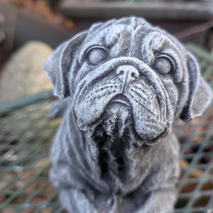 May include: A detailed, gray concrete statue of a pug dog. The sculpture features the dog's distinctive wrinkled face, floppy ears, and a slightly furrowed brow. The statue is set against a blurred outdoor background.