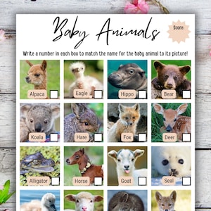 Baby Shower Baby Animals Game, Gender Neutral Minimalist baby shower, Printable, baby shower Party Game, animal baby shower, Class Game, PDF