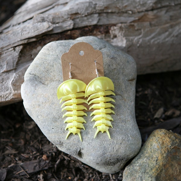 Silky Yellow trilobite Earrings