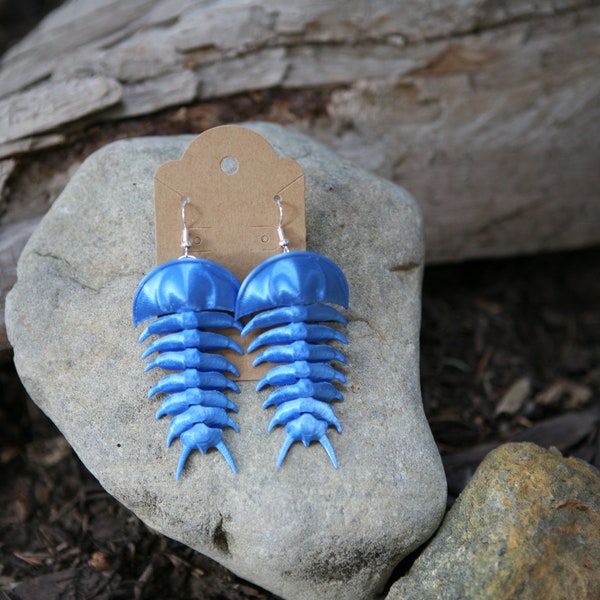 Silky Blue trilobite Earrings