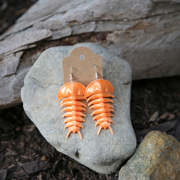 Silky Orange trilobite Earrings