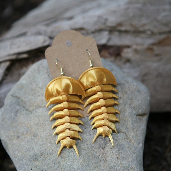 Silky Gold trilobite Earrings