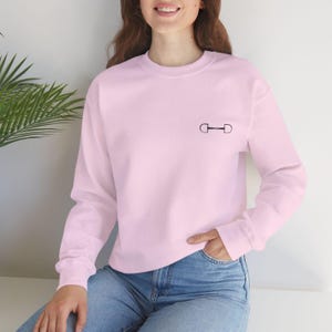 May include: A pink sweatshirt with a small black equestrian bit design on the front.