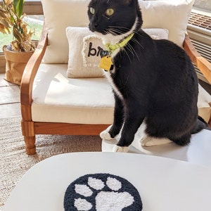 May include: A black and white cat sits on a white chair with a pillow that says "br" on it. The cat is wearing a green collar with a yellow tag that says "Home Again". The cat is looking to the left of the image. A white table with a black and white paw print rug is in the foreground.