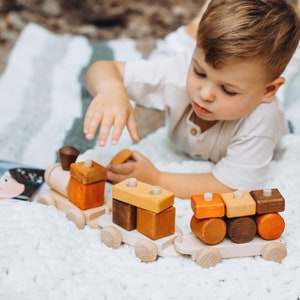 Montessori Train, Wooden Shades Puzzle Train, Wooden Locomotive Toy, Train Stack and Sort Toy, Nursery Decor, Christmas Gift for Kids
